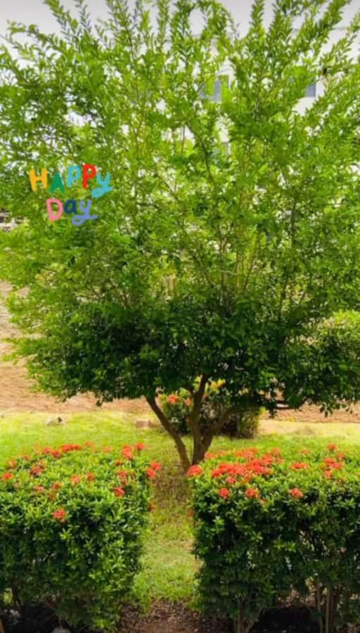 Apartamento, Zona Leste, Otima Localizacao. Teresina Kültér fotó